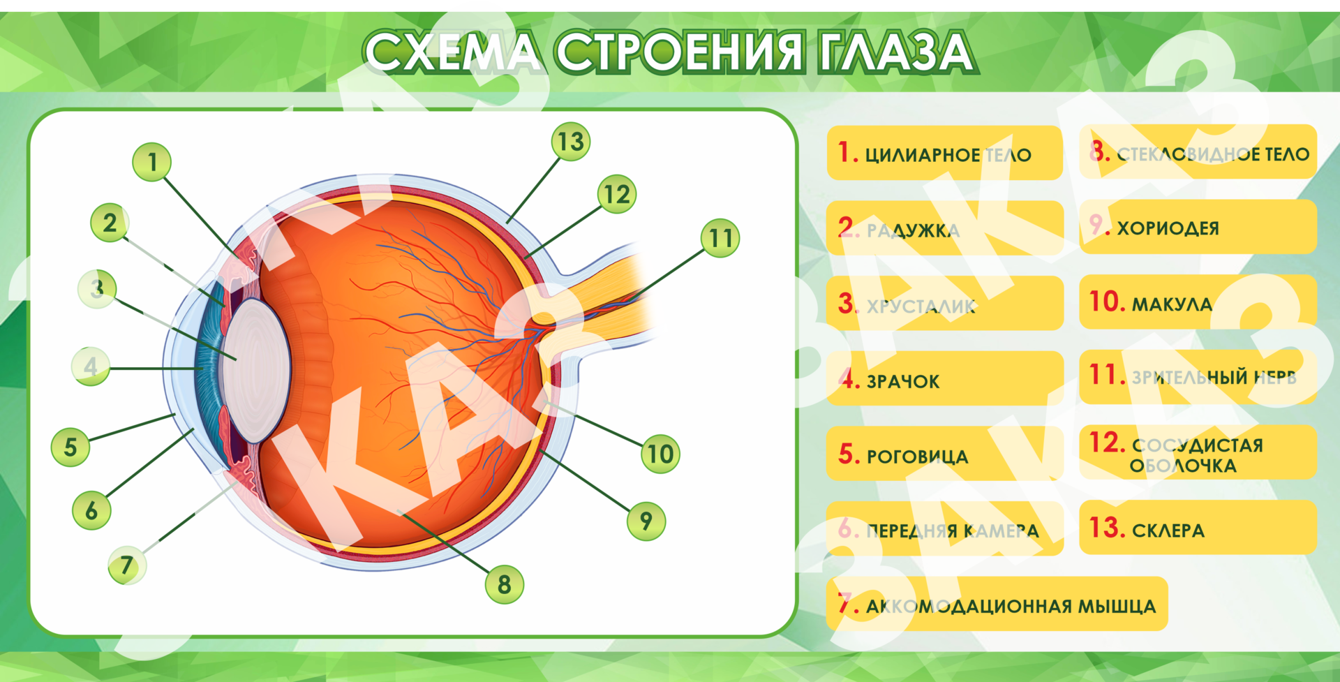 Плакаты для обучения 